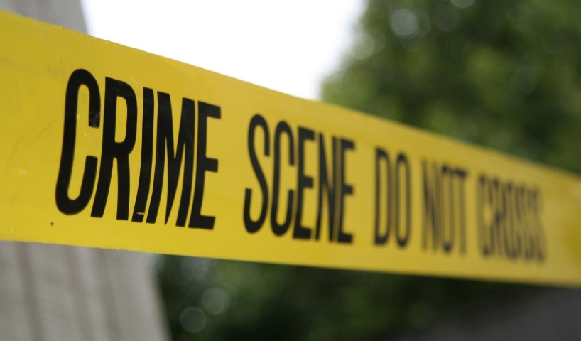 Advanced Training Features