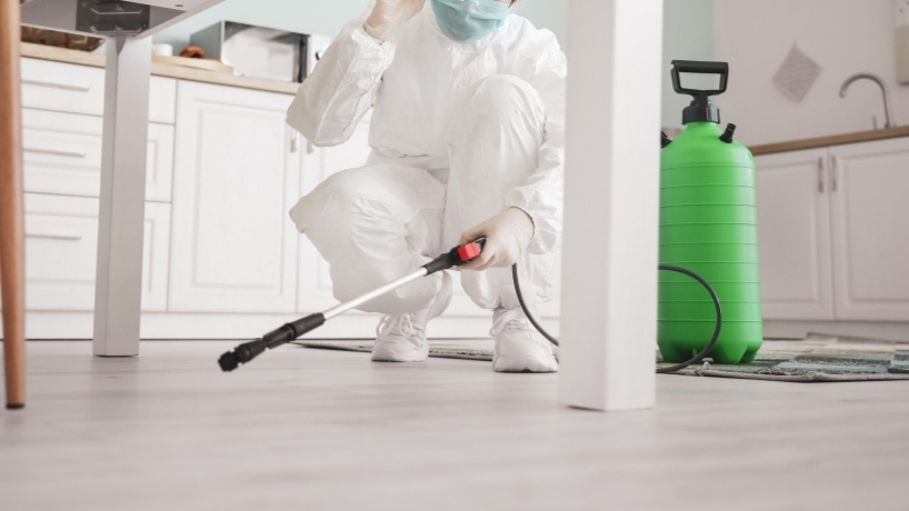 Course Access and Support