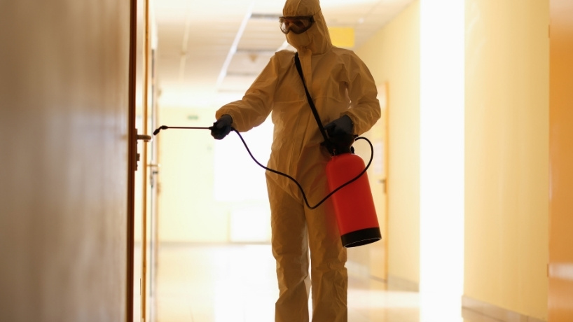 Get Your Free Quote Today